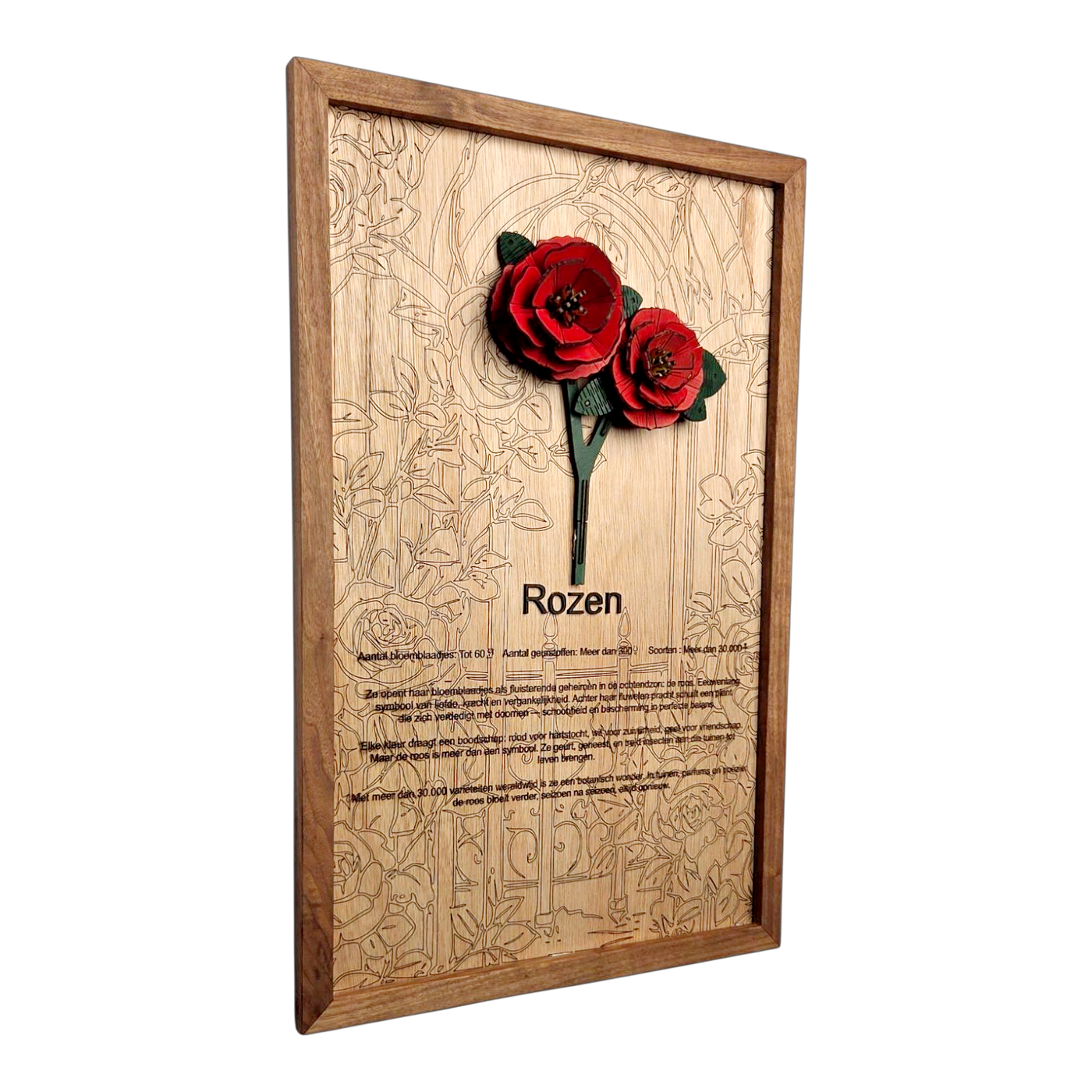 Rozen Poster