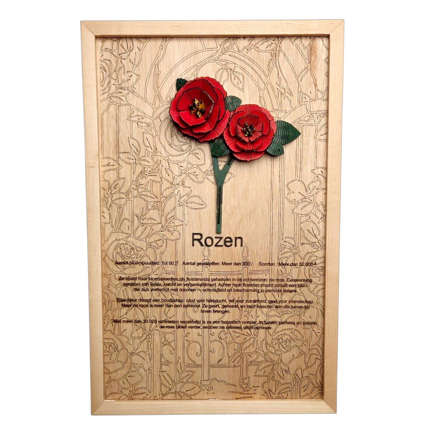 Rozen Poster