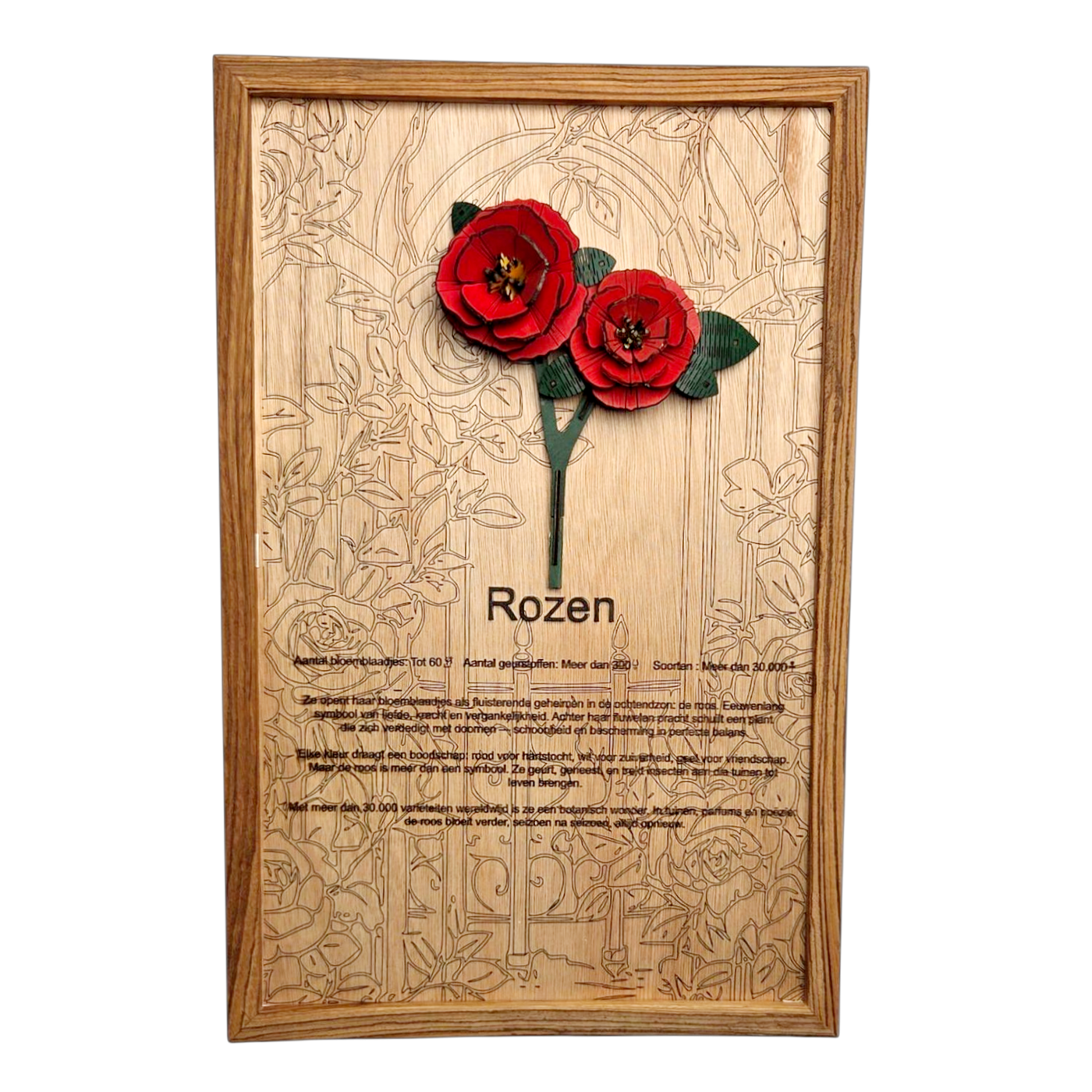Rozen Poster