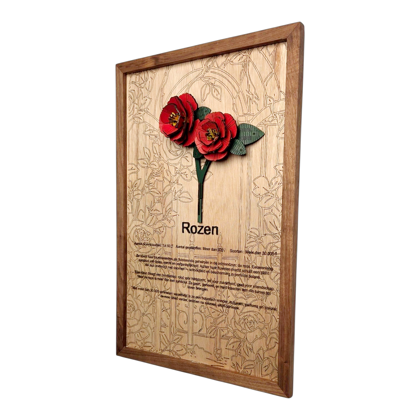 Rozen Poster