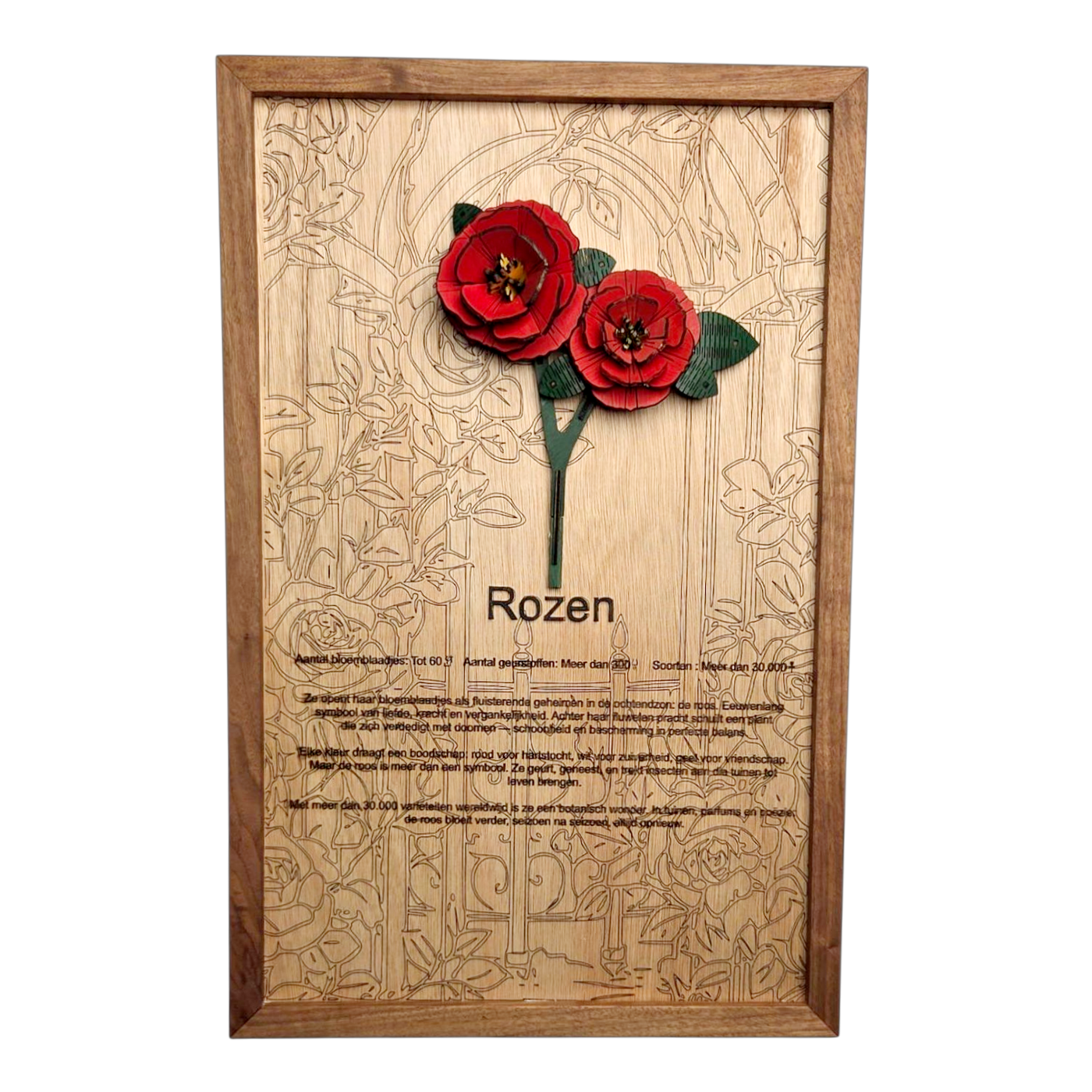 Rozen Poster