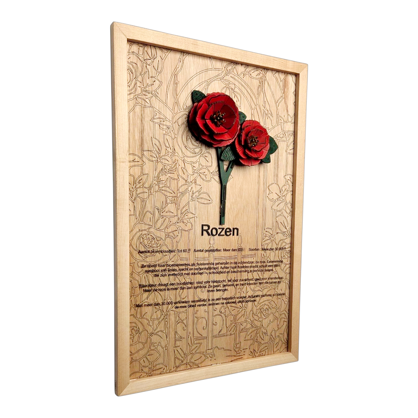 Rozen Poster
