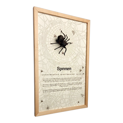 Spinnen Poster