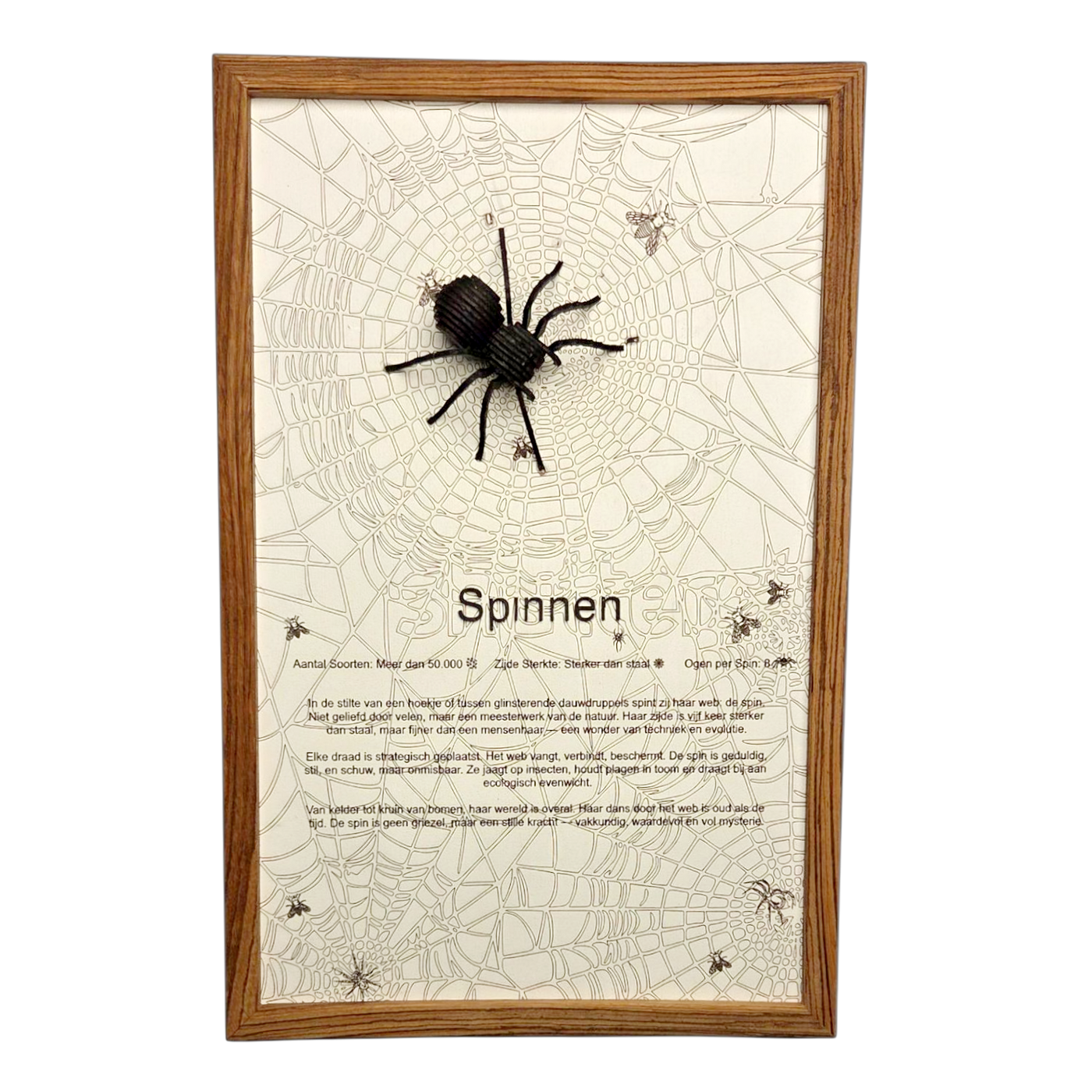 Spinnen Poster