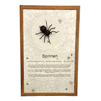 Spinnen Poster