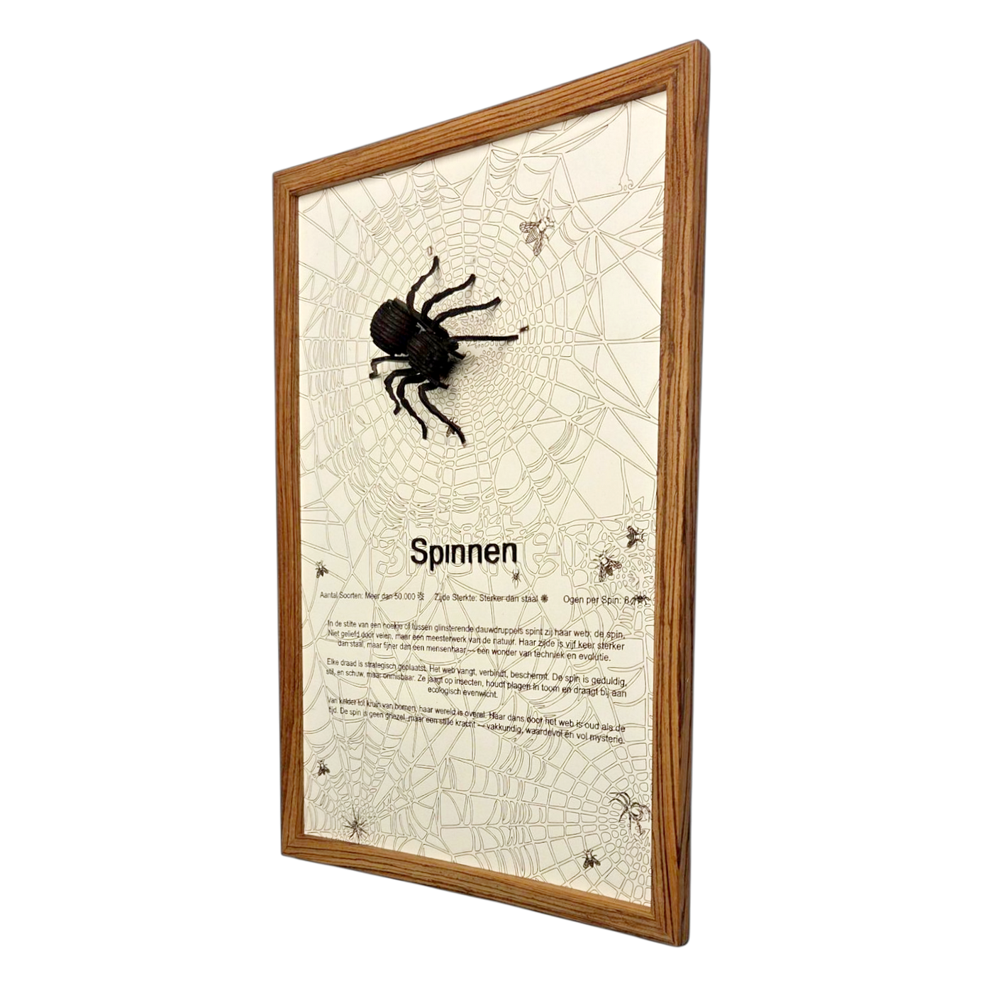 Spinnen Poster
