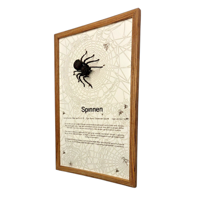 Spinnen Poster