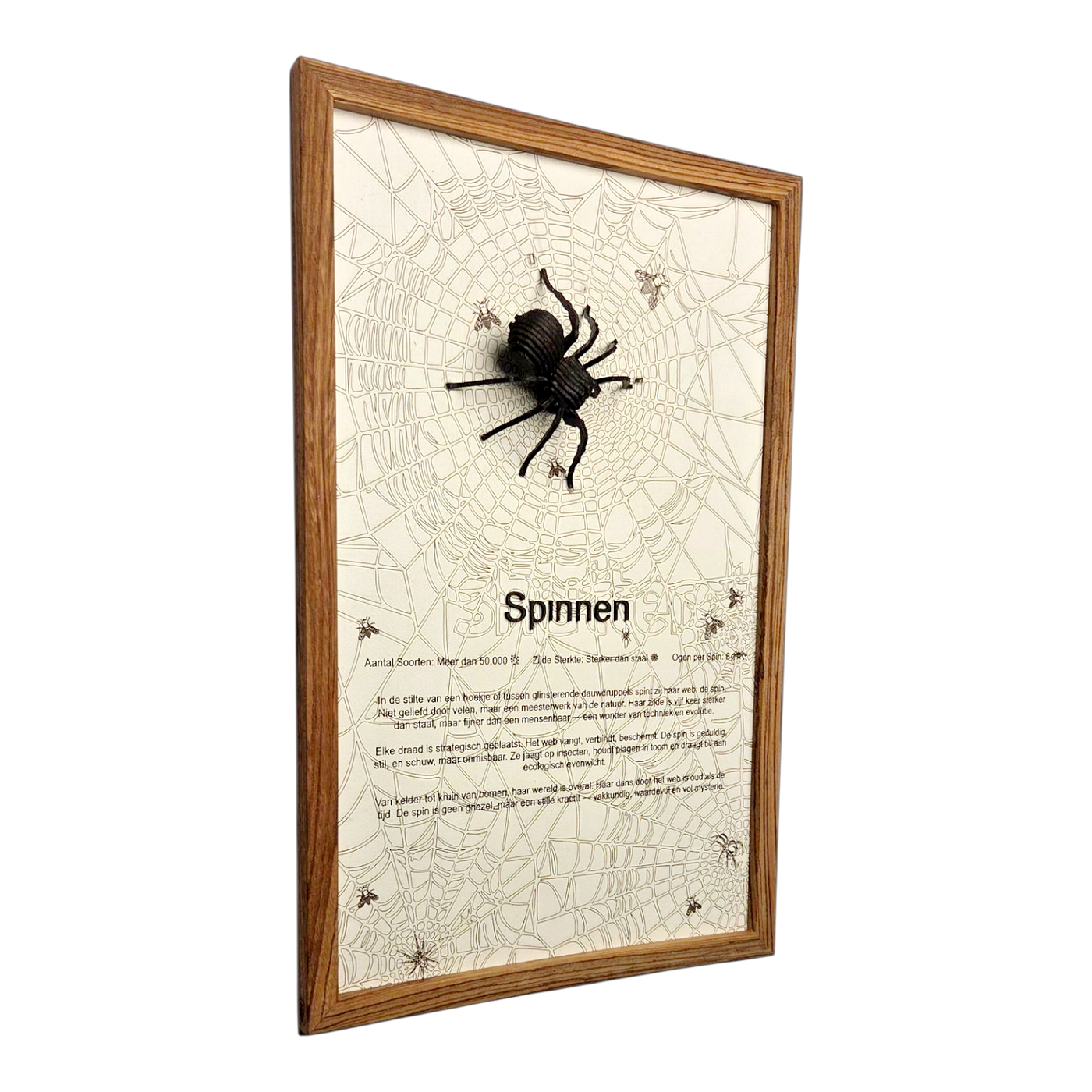 Spinnen Poster