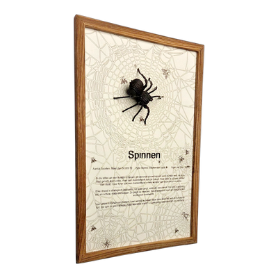 Spinnen Poster