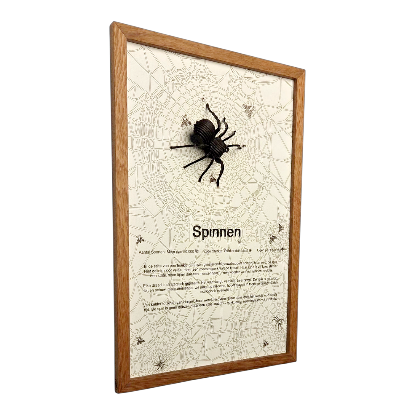 Spinnen Poster