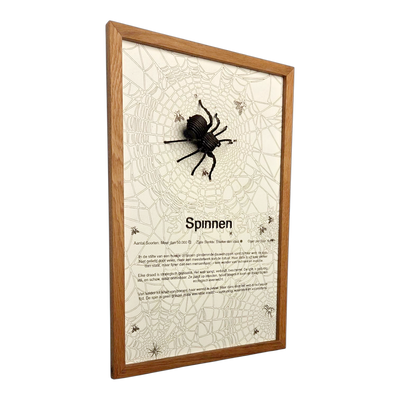 Spinnen Poster