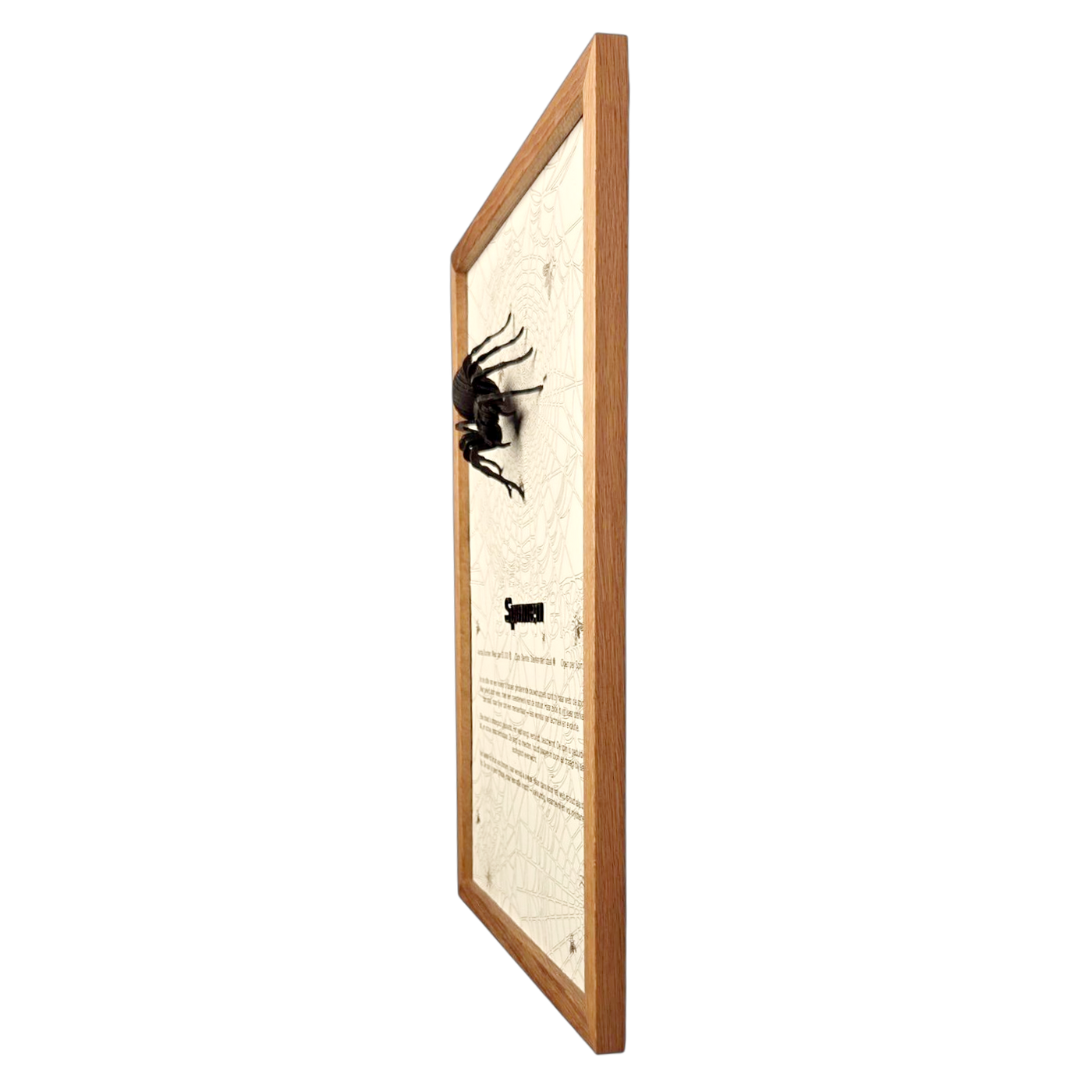 Spinnen Poster