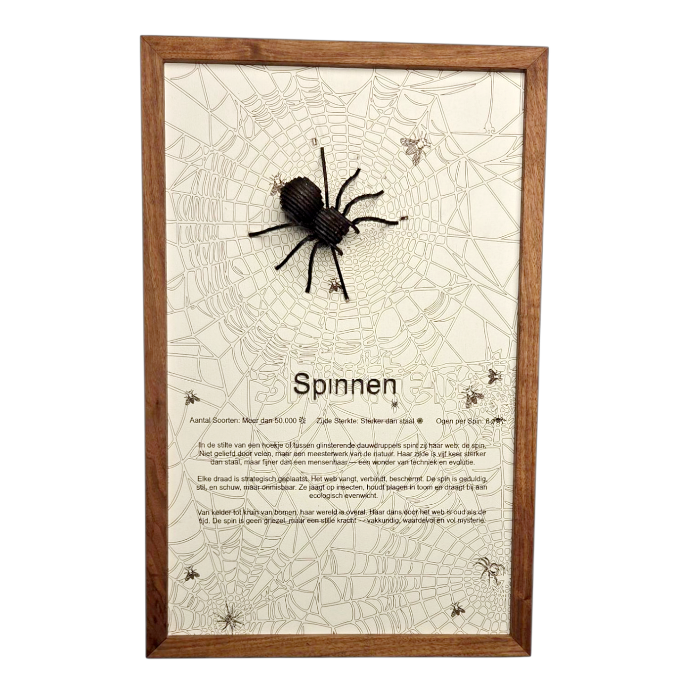 Spinnen Poster