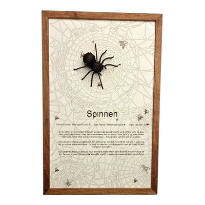 Spinnen Poster