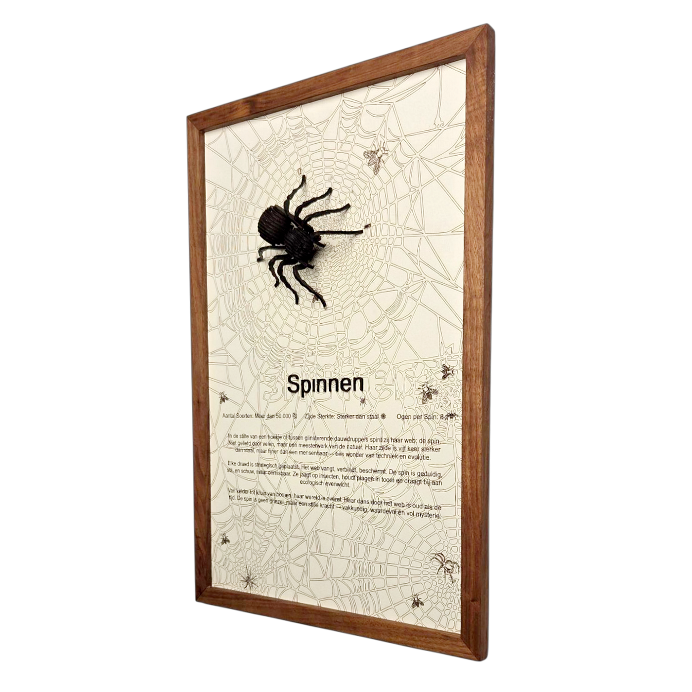 Spinnen Poster