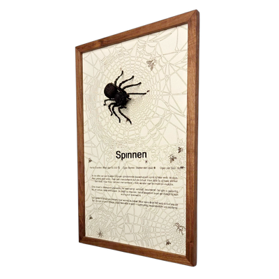 Spinnen Poster