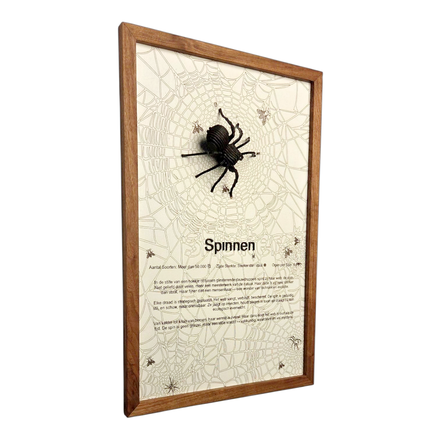 Spinnen Poster