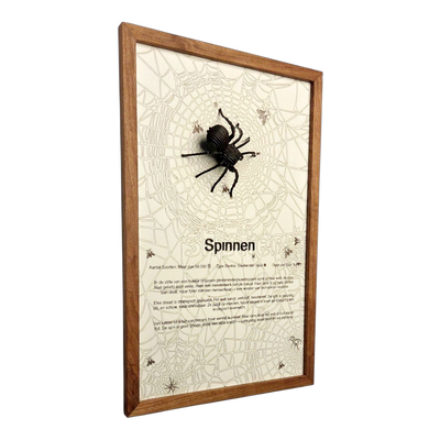 Spinnen Poster