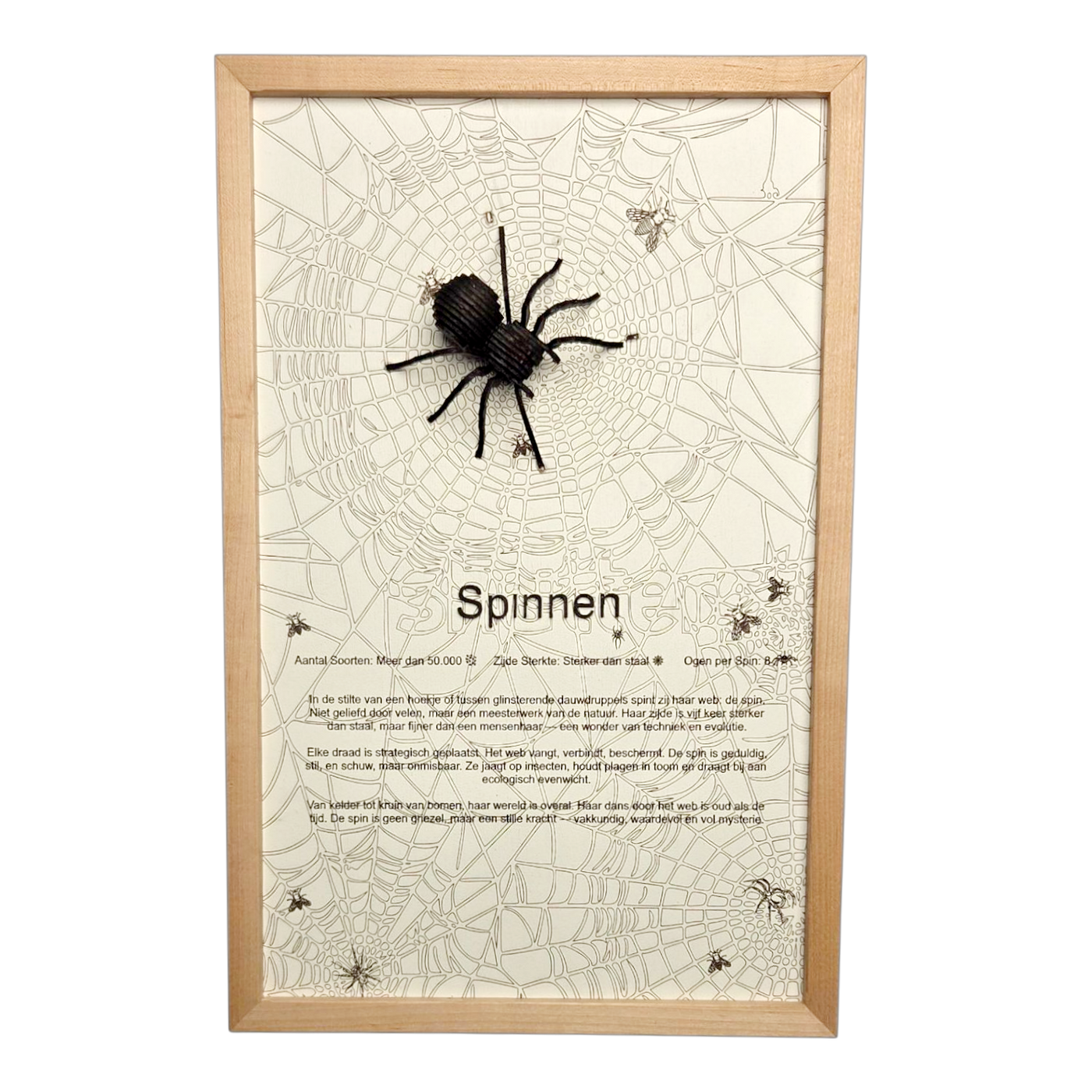 Spinnen Poster
