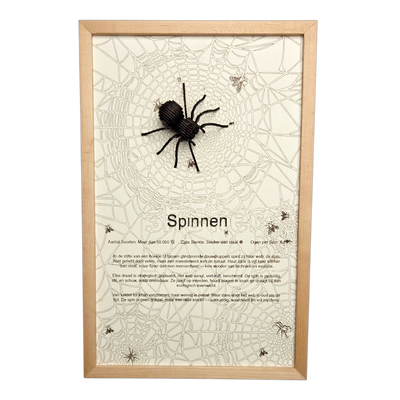 Spinnen Poster