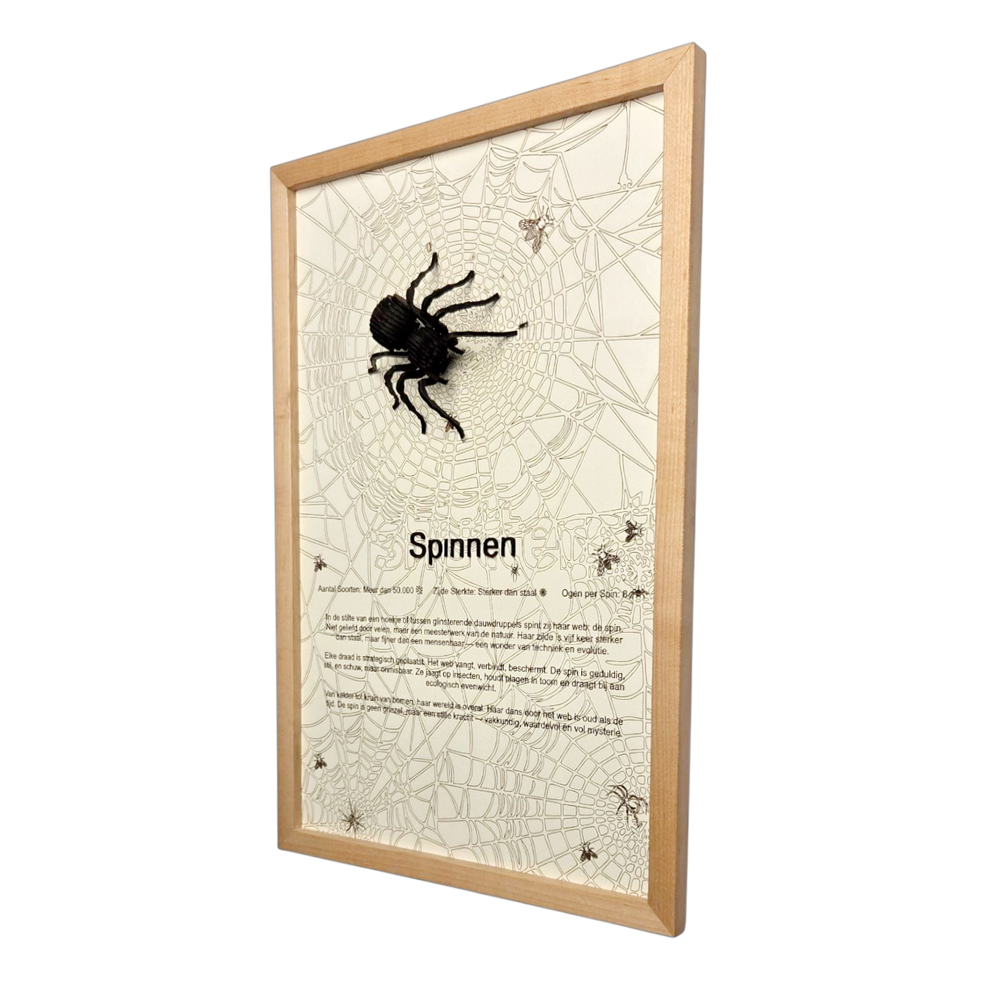 Spinnen Poster