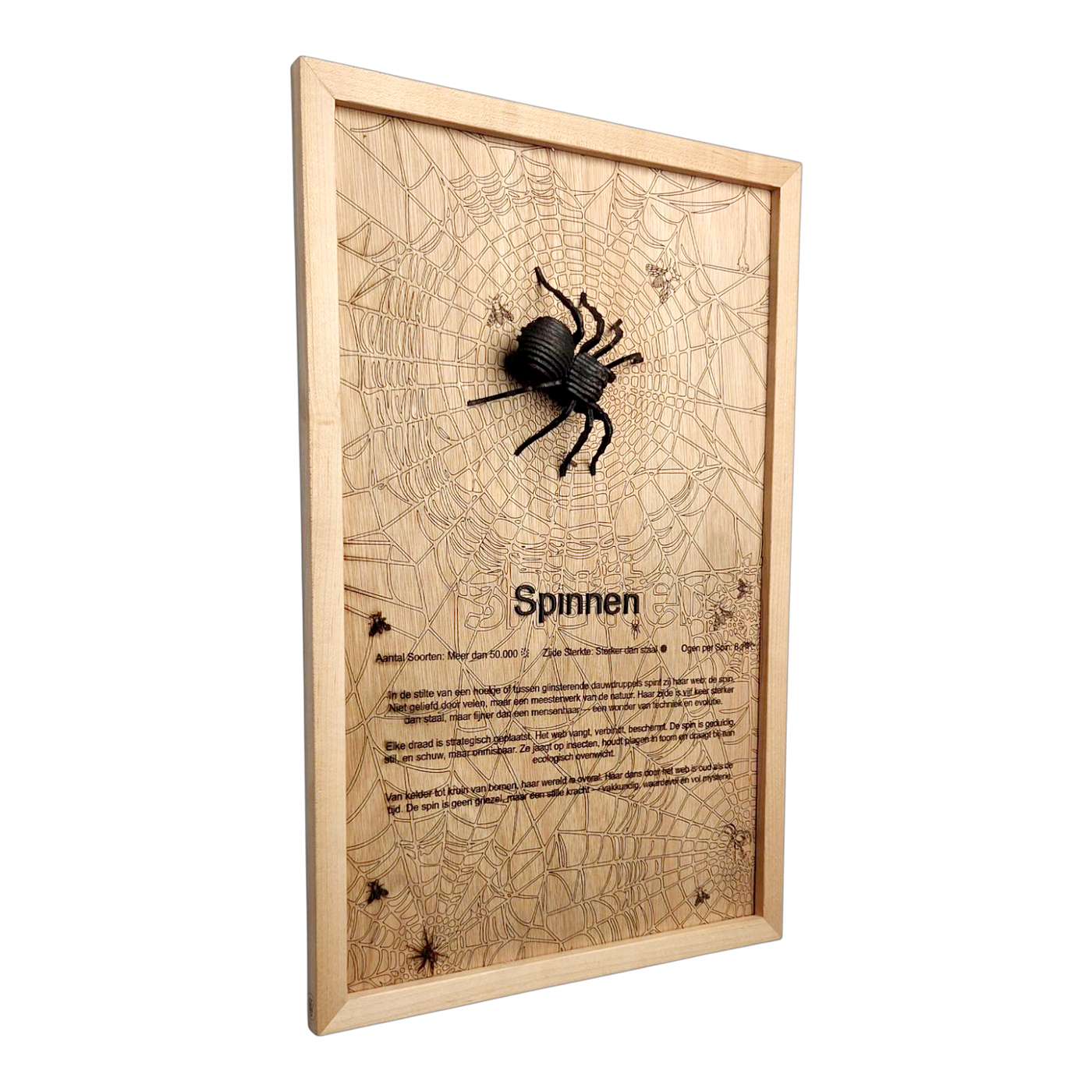 Spinnen Poster