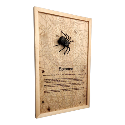 Spinnen Poster