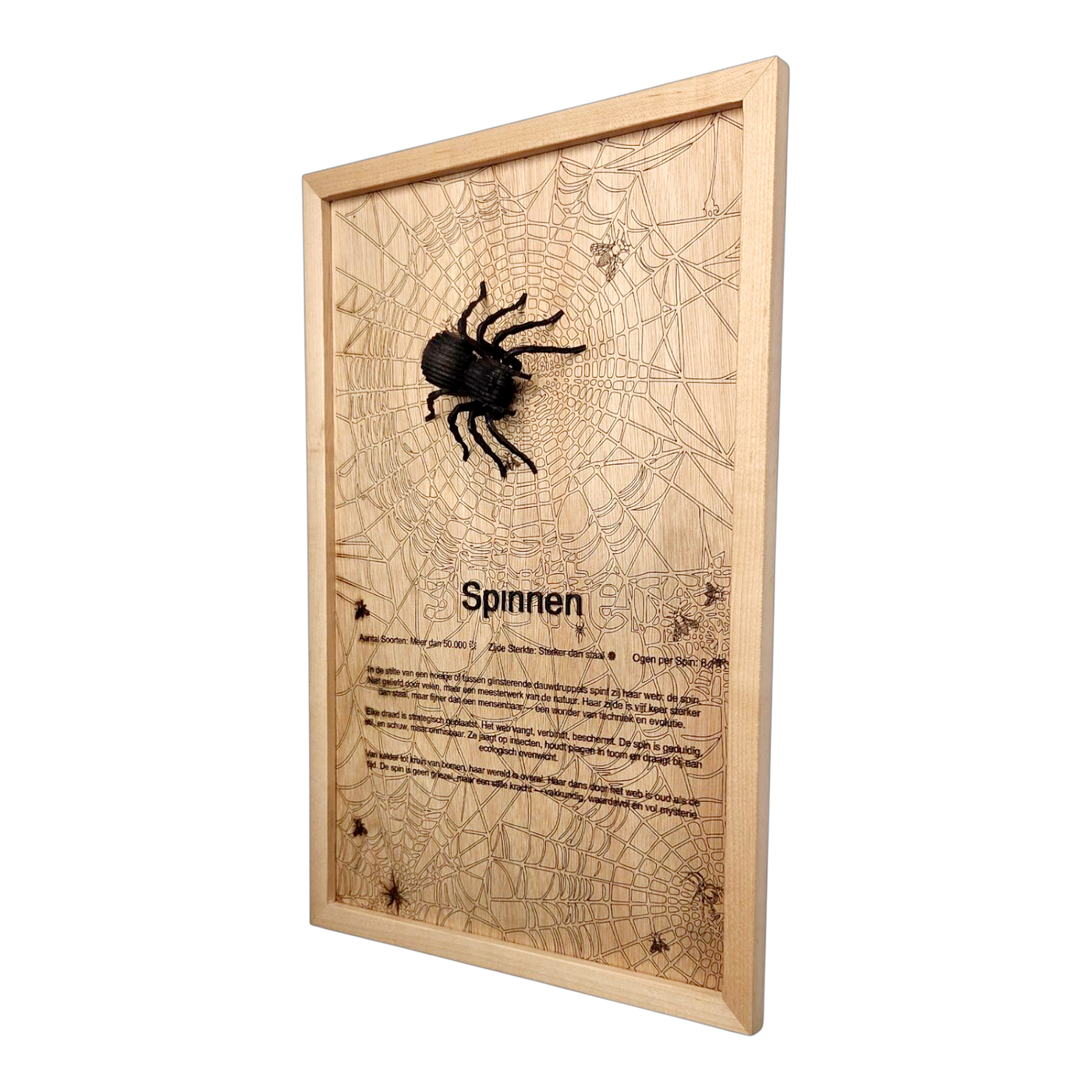 Spinnen Poster
