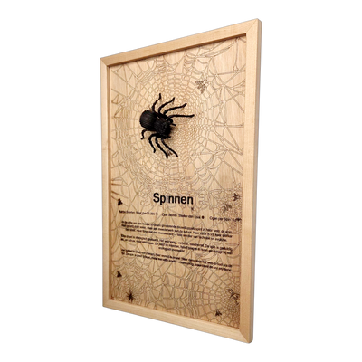 Spinnen Poster
