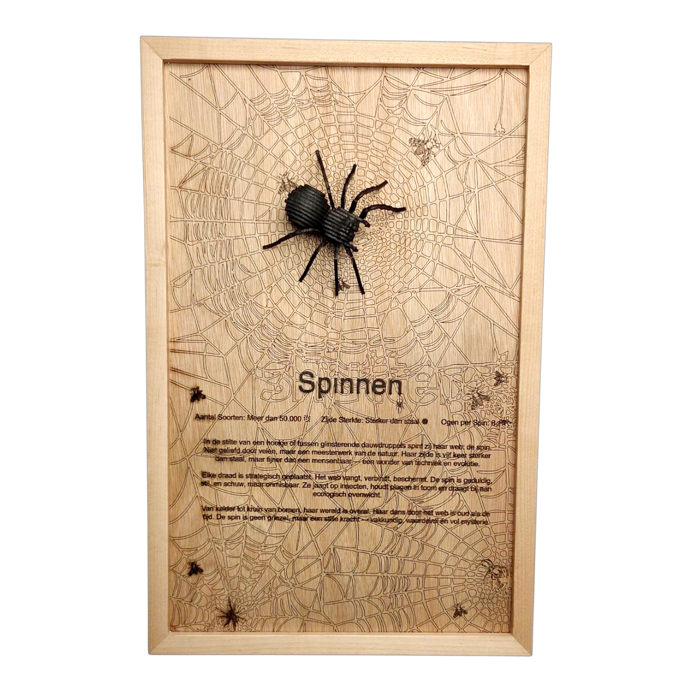 Spinnen Poster