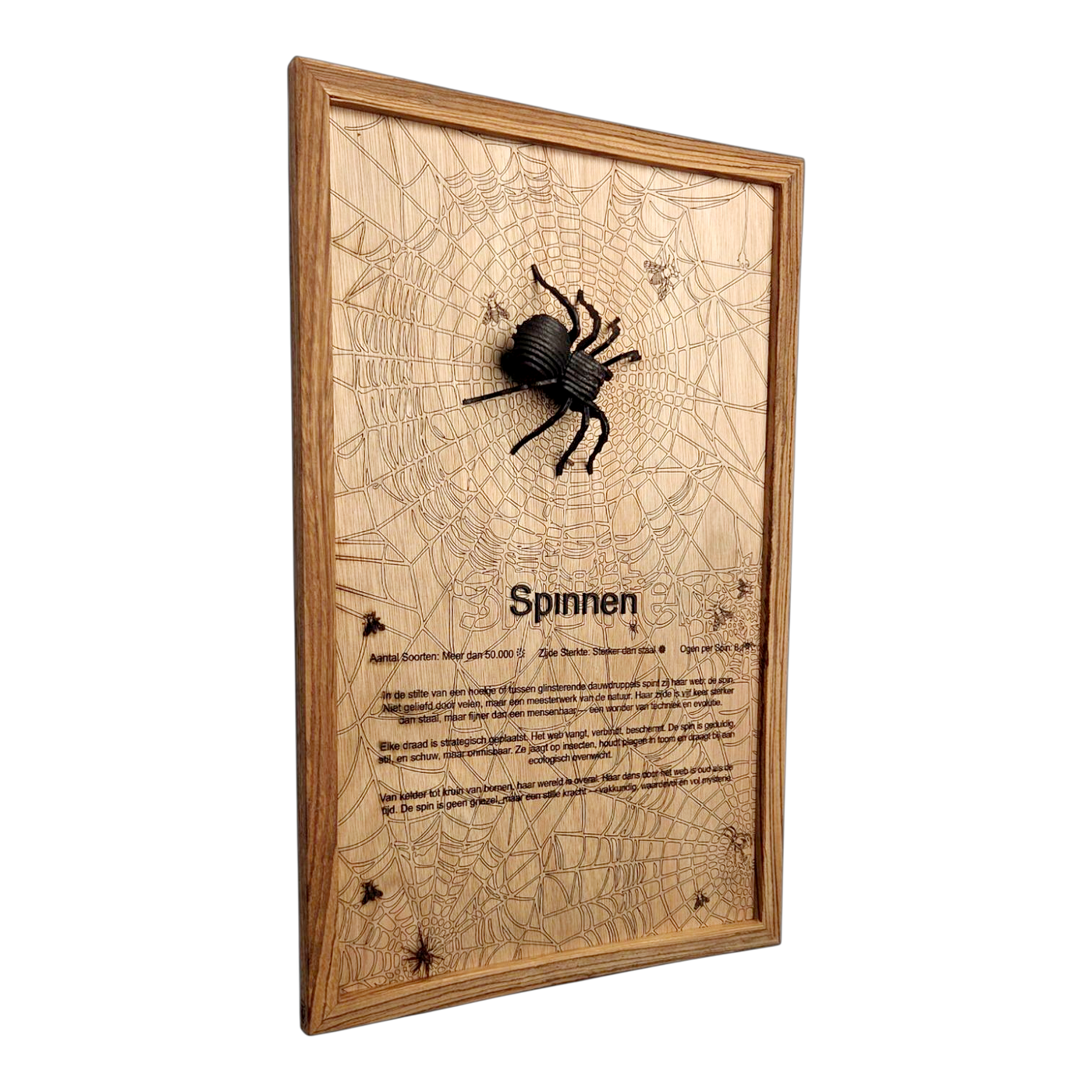Spinnen Poster