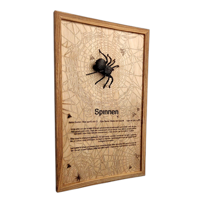 Spinnen Poster