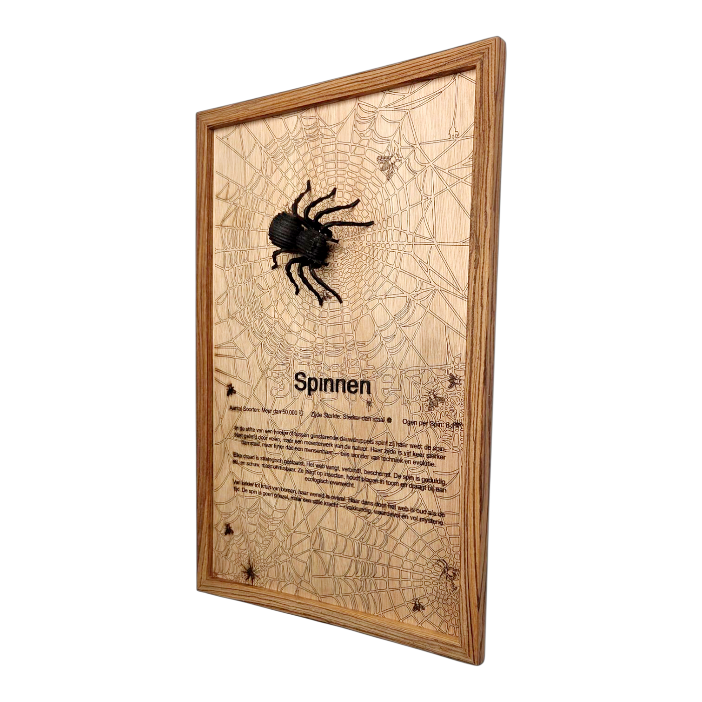 Spinnen Poster