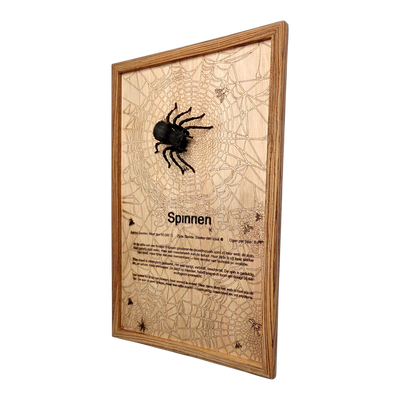 Spinnen Poster