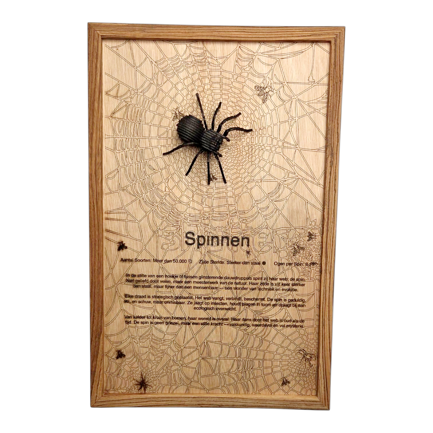 Spinnen Poster