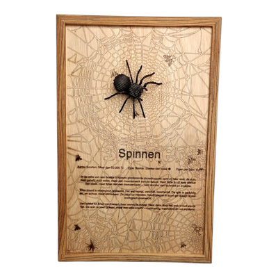 Spinnen Poster