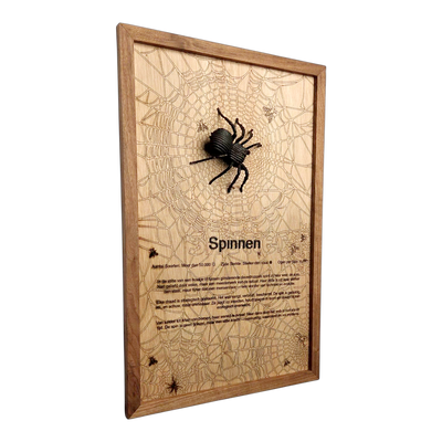 Spinnen Poster