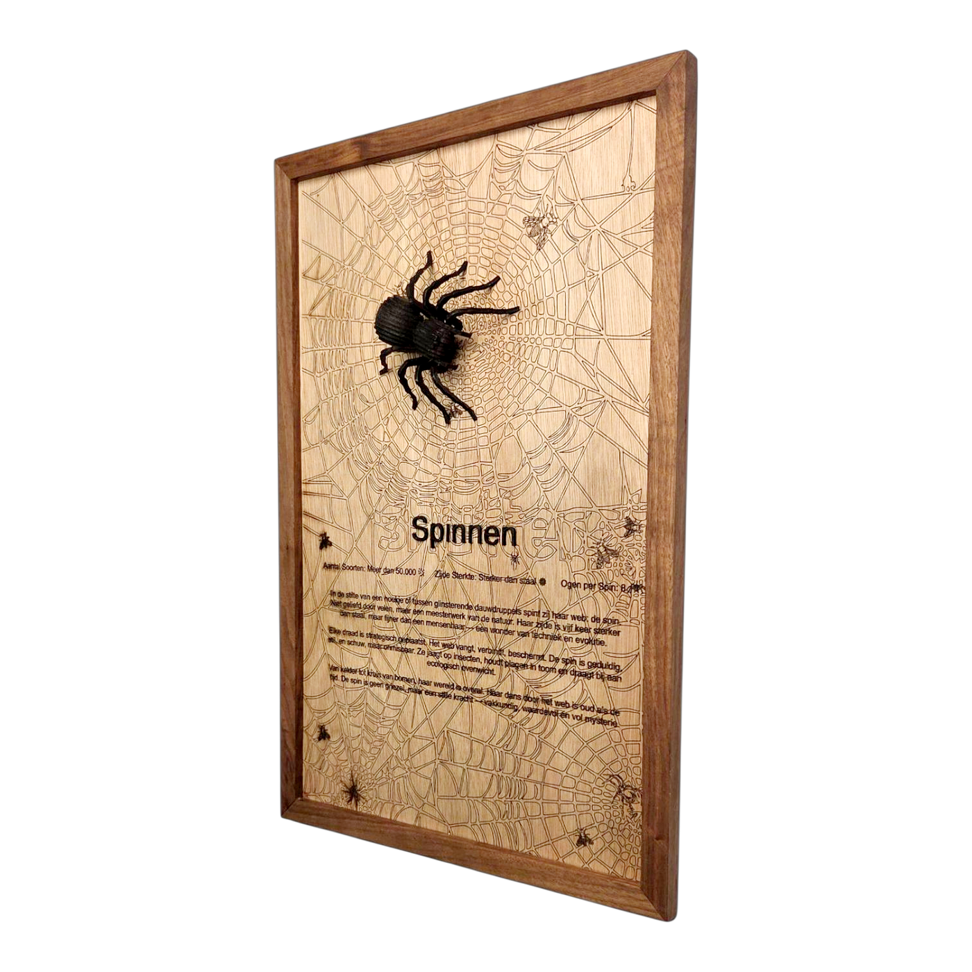 Spinnen Poster