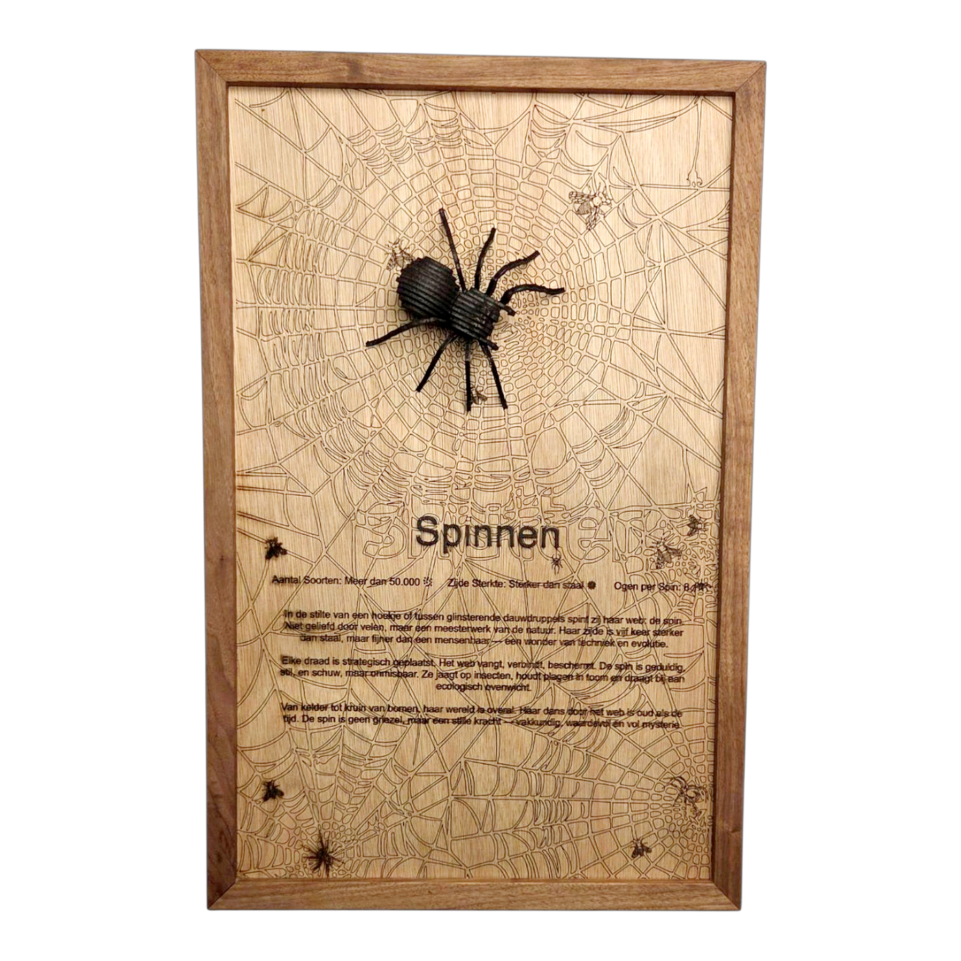 Spinnen Poster
