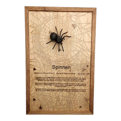 Spinnen Poster