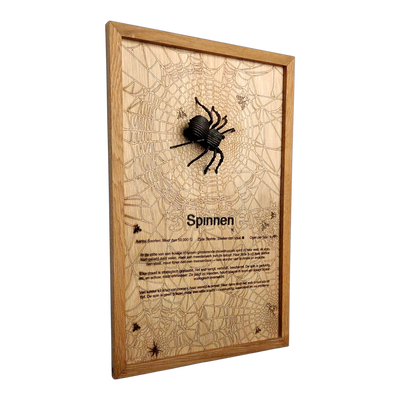 Spinnen Poster