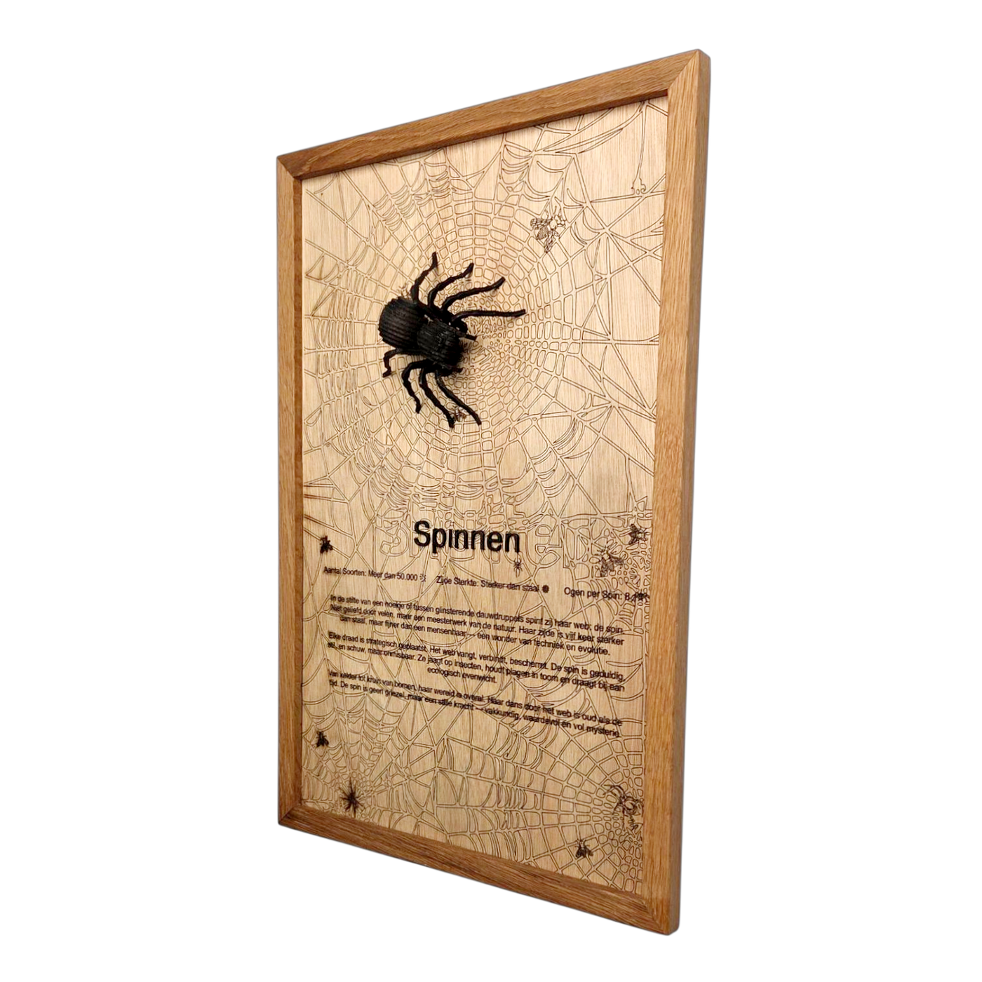 Spinnen Poster