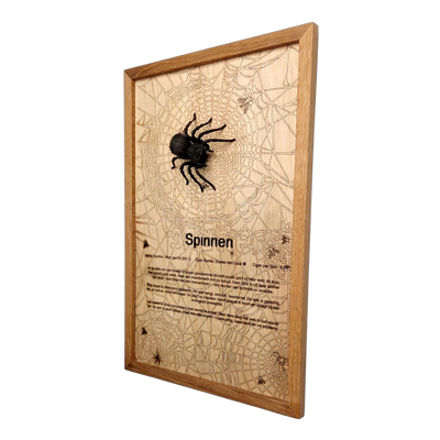 Spinnen Poster