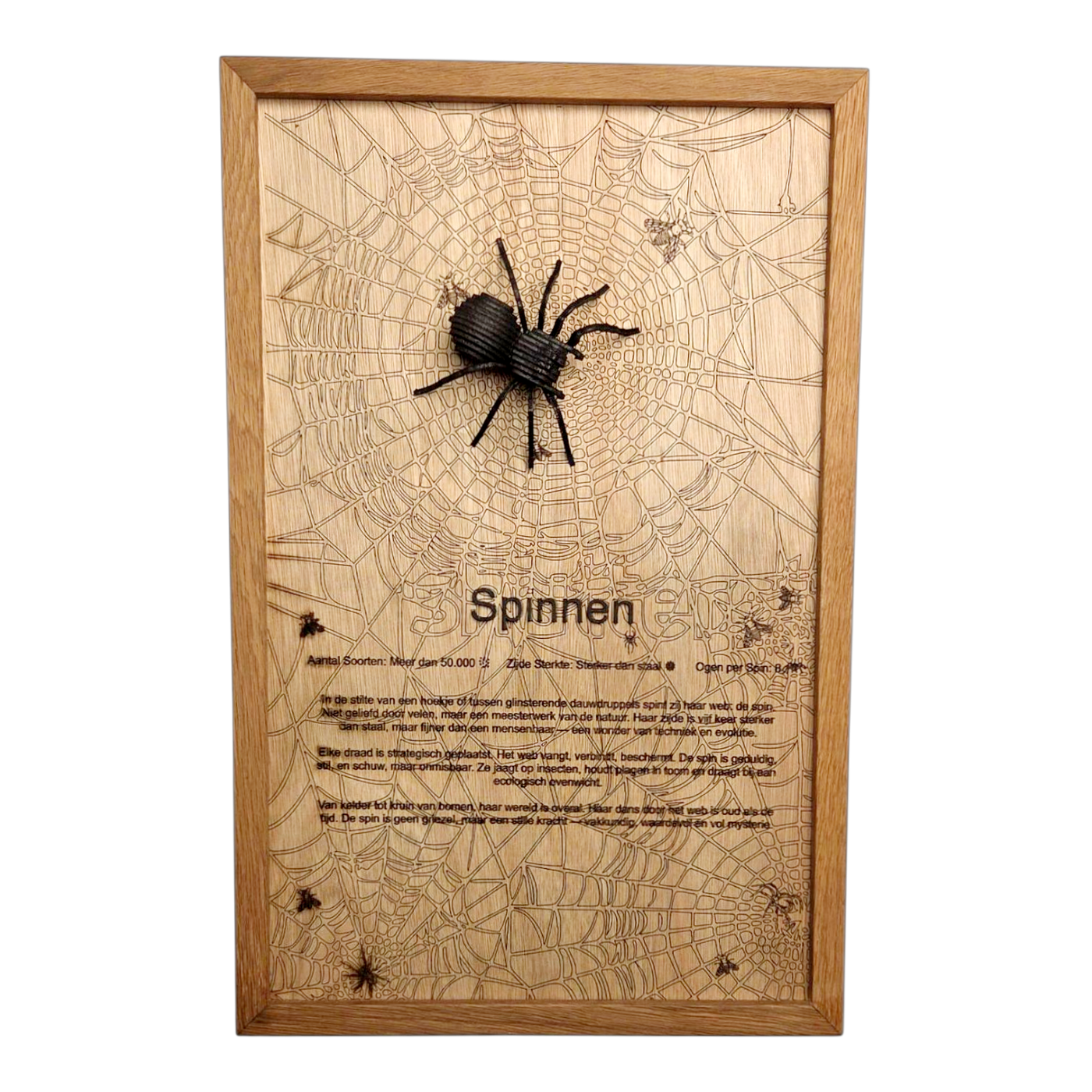 Spinnen Poster