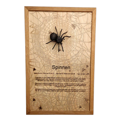 Spinnen Poster