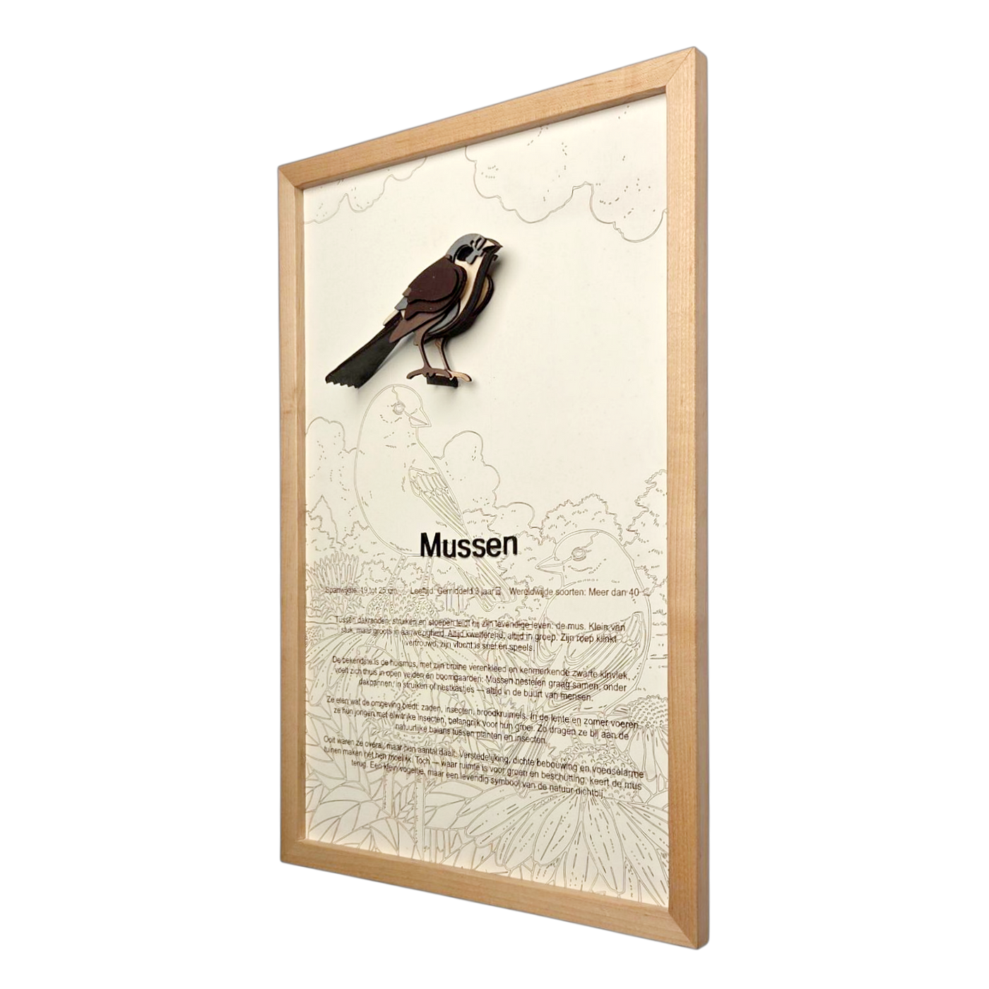 Mussen Poster