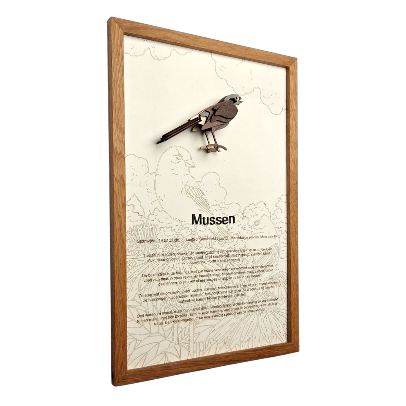 Mussen Poster