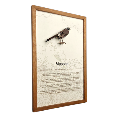 Mussen Poster