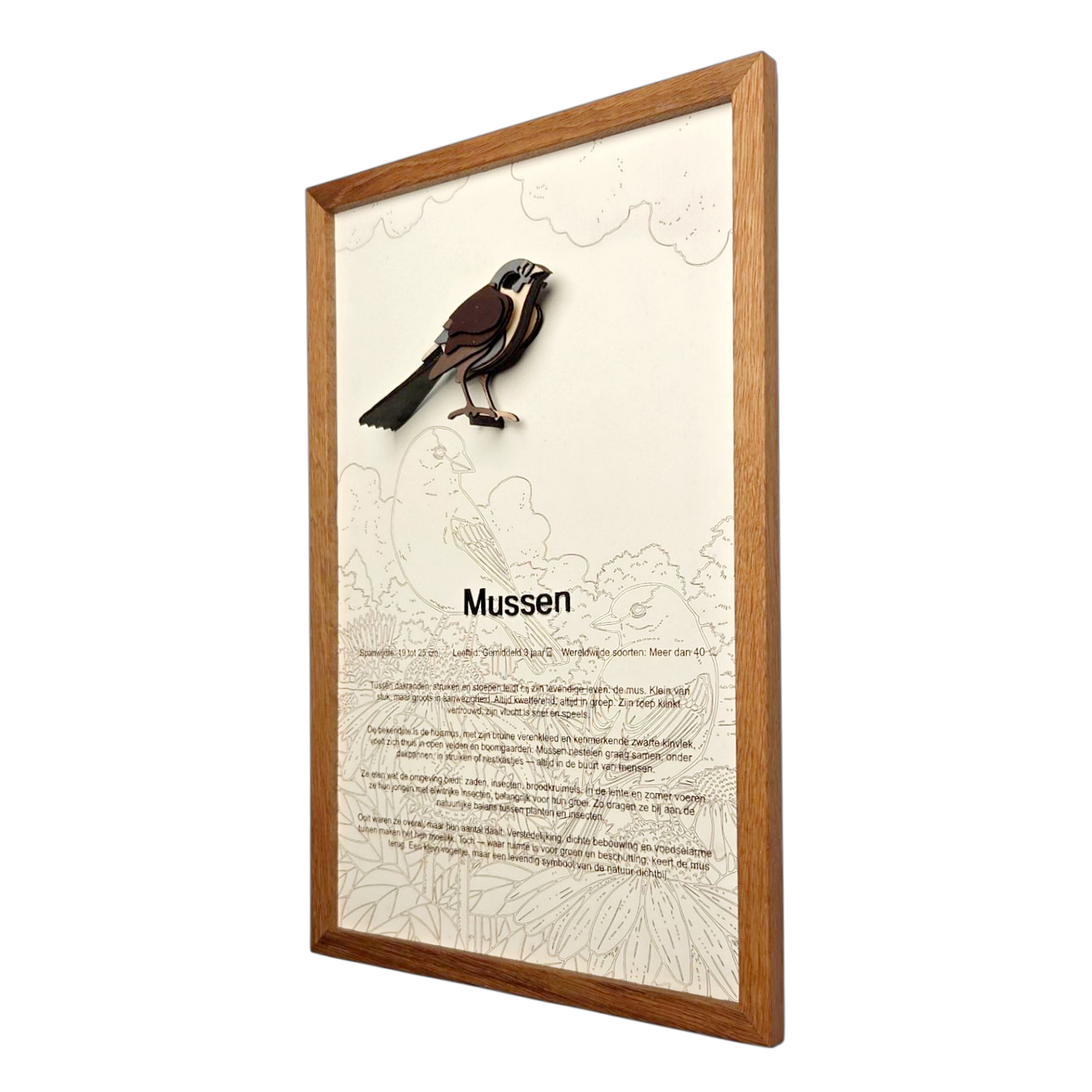 Mussen Poster