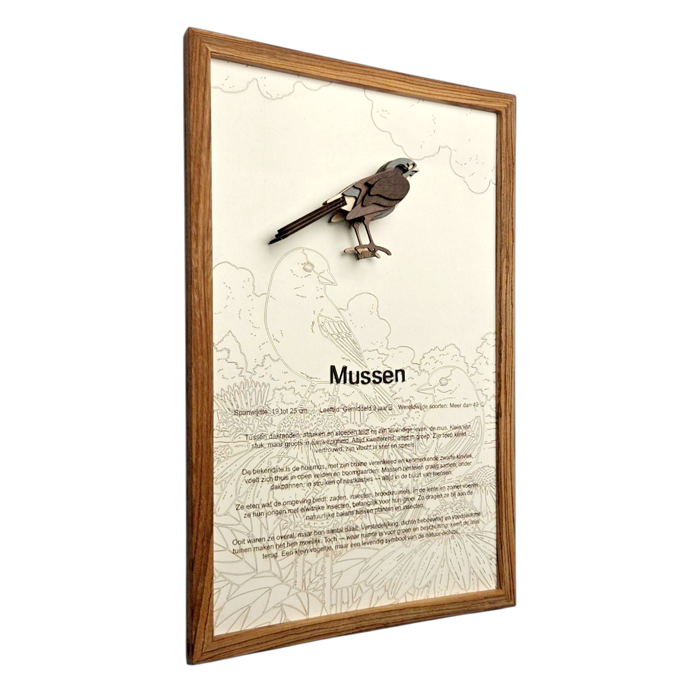 Mussen Poster